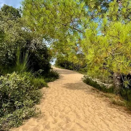 Appart' Islande Le Chateau-d'Oleron
